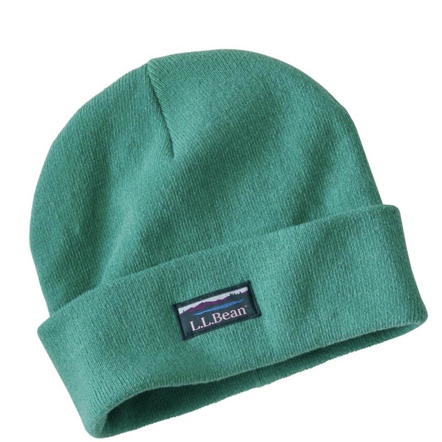 LL Bean Beanie