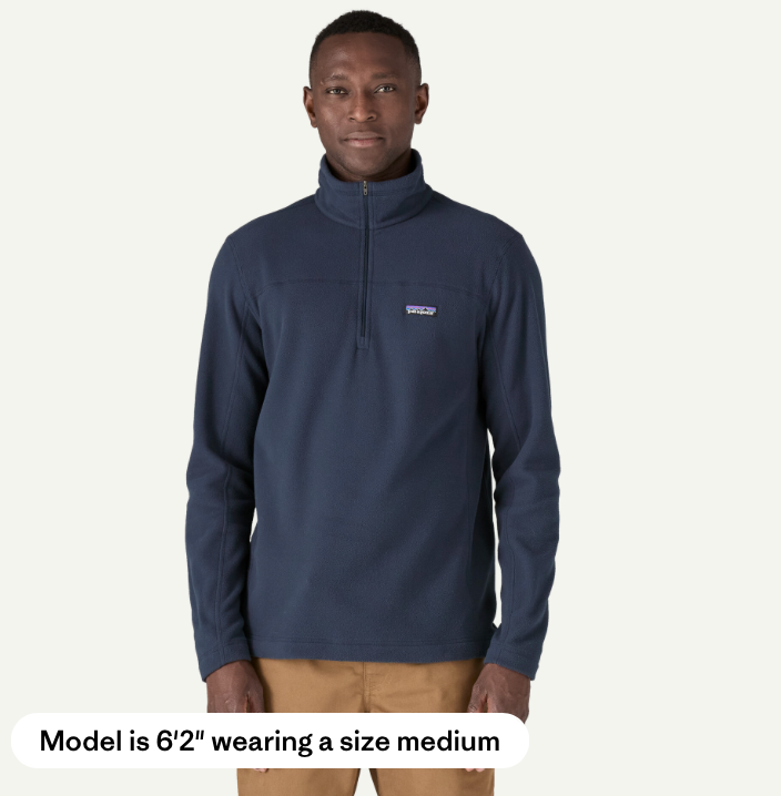 Patagonia Men's Micro D® Fleece Pullover