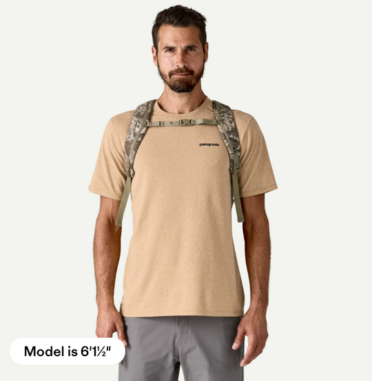 Patagonia Refugio 30L Daypack